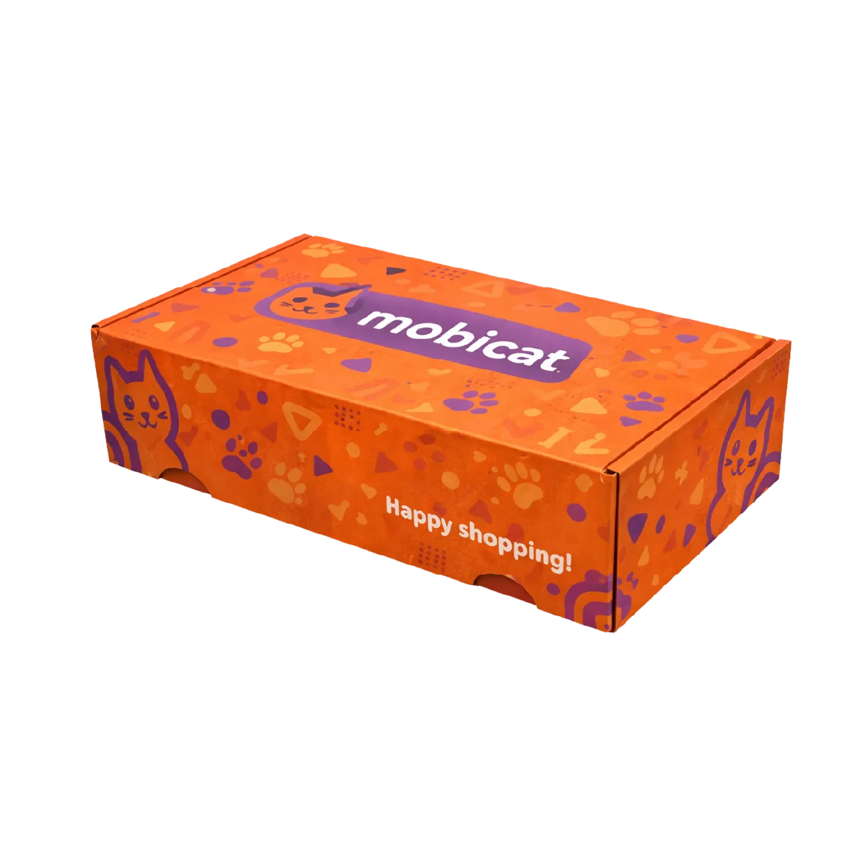 Litho Laminated Packaging