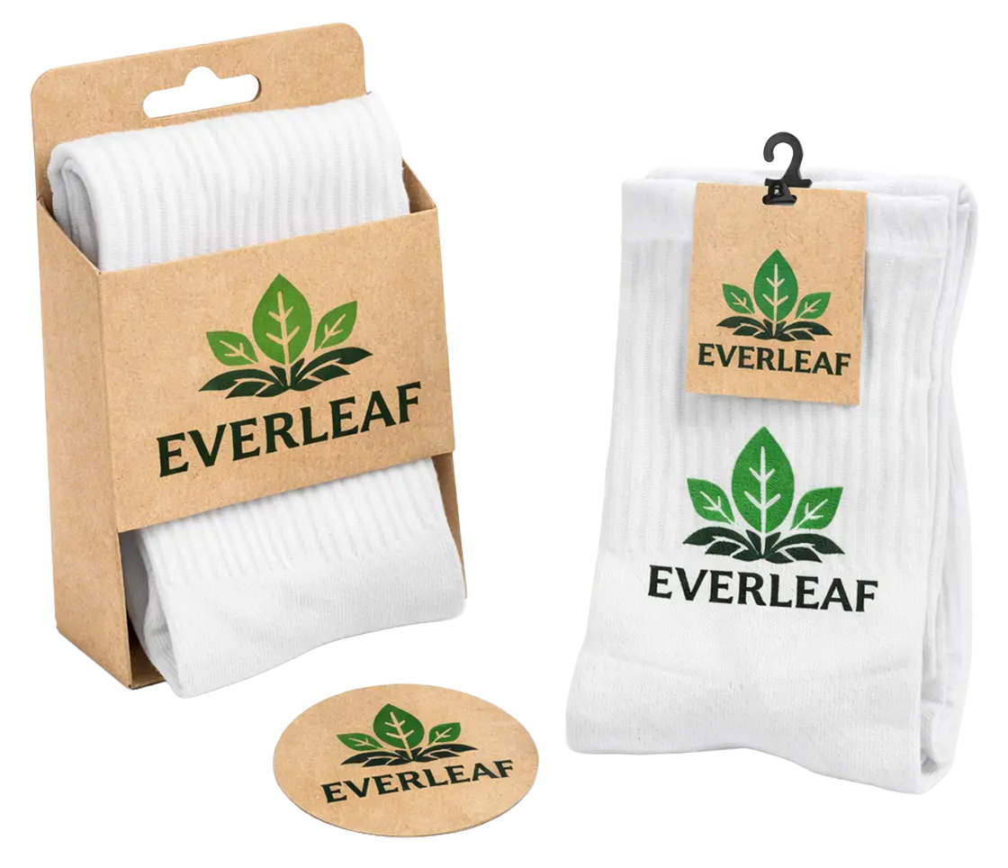 Socks with Special Box 4