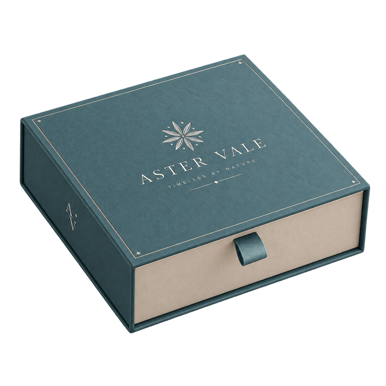 Rigid Box Packaging 17